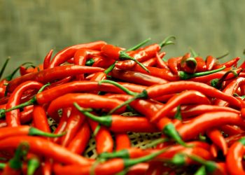 O que é um pé de pimenta