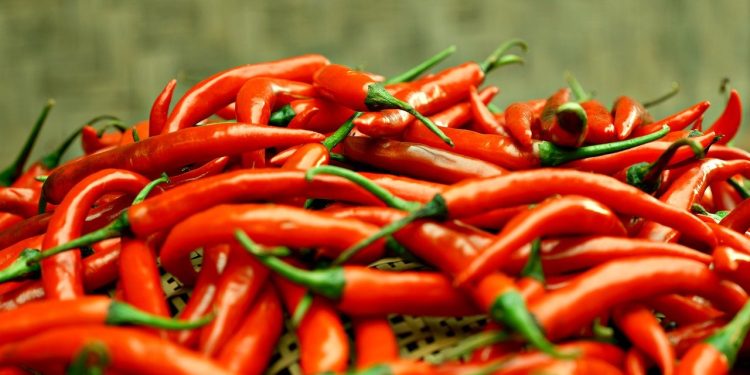 O que é um pé de pimenta