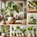 Tendências em plantas para decoração em 2025