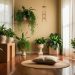 Como criar um espaço de meditação com plantas