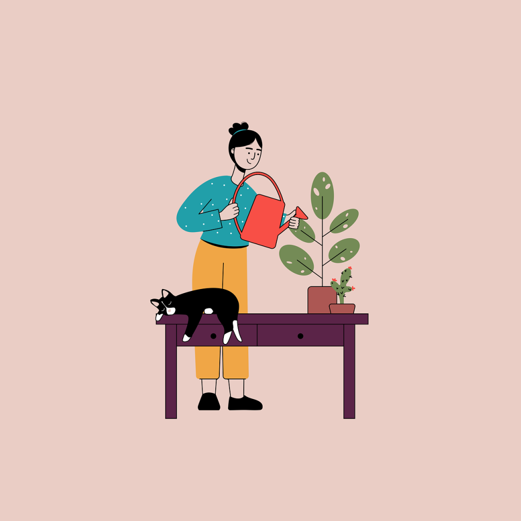 Como montar um cronograma de cuidados com suas plantas 