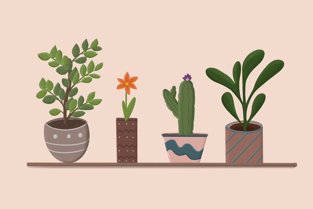 Como montar um cronograma de cuidados com suas plantas (