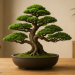 Bonsai: cuidados, significado e dicas de decoração